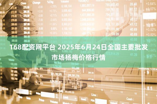 168配资网平台 2025年6月24日全国主要批发市场杨梅价格行情
