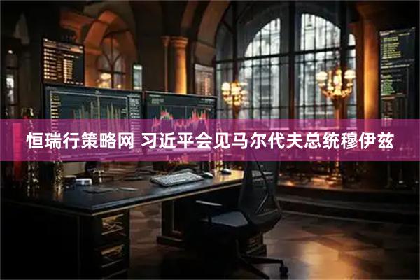 恒瑞行策略网 习近平会见马尔代夫总统穆伊兹